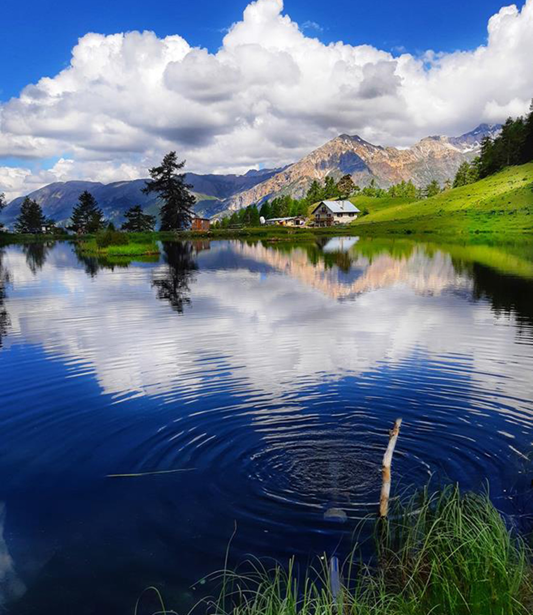 Cartolina dal Lago Laune (Gran Bosco di Salbertrand) - 24.07.18 #fotodelgiorno di Maurizio Bresciani